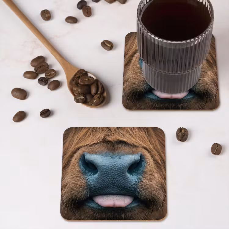 Onderzetter - Schotse hooglander - Neus - Bruin — 4