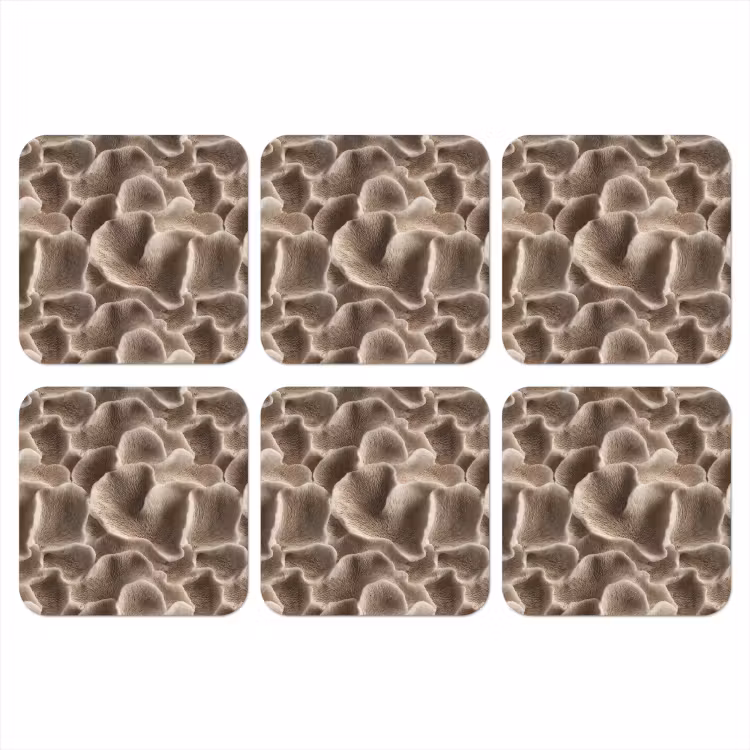 Onderzetter - Waaiervorm - Beige - Vezel textuur — 1