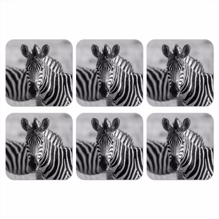 Onderzetter - Zebra's - Zwart - Wit — 1