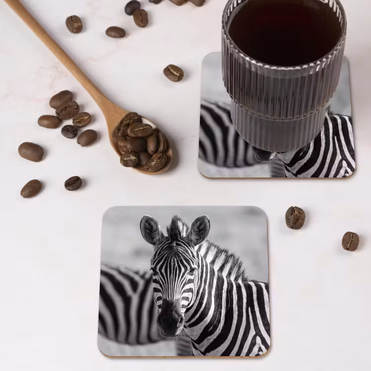 Onderzetter - Zebra's - Zwart - Wit — 4