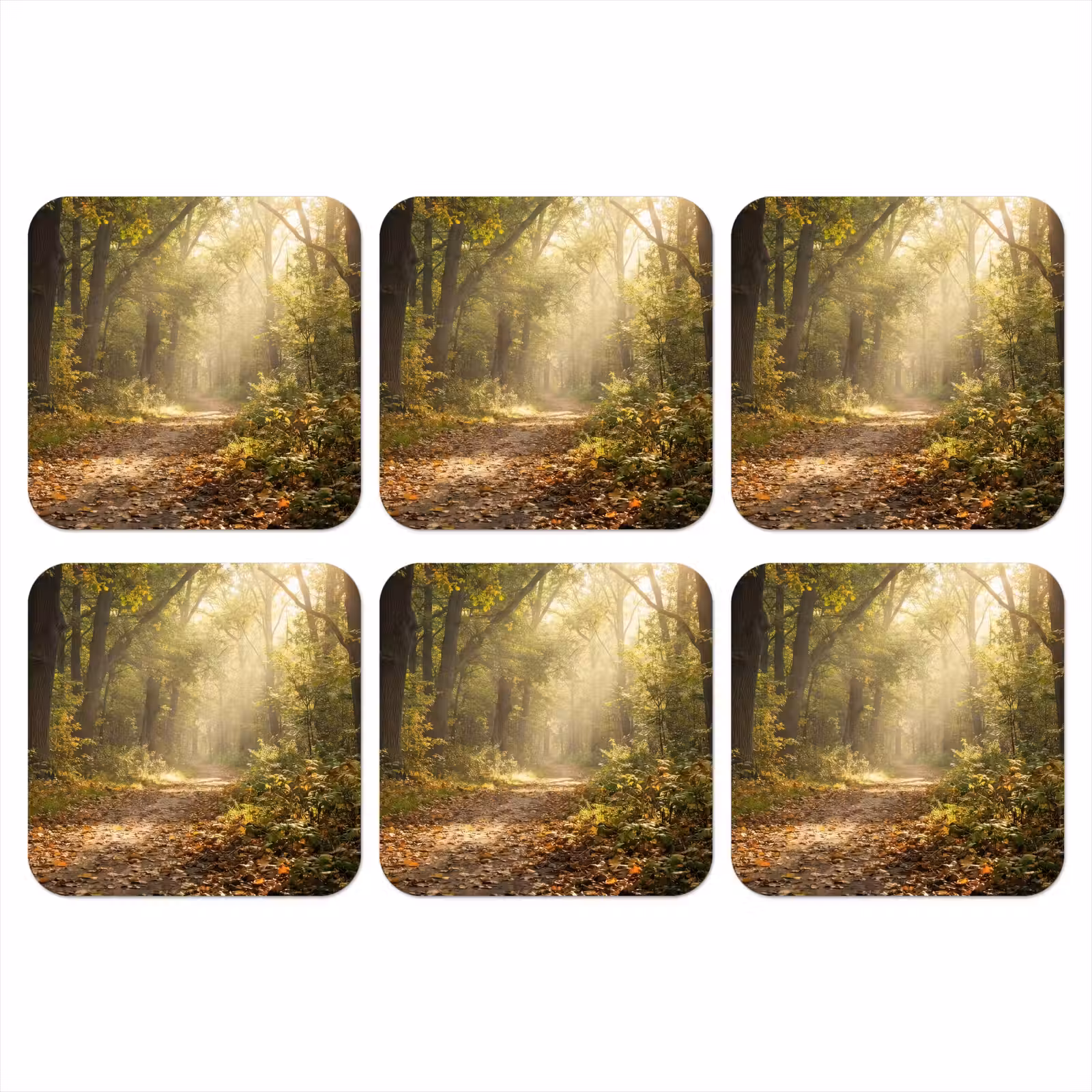 Onderzetter - Zonlicht - Bospad - Bomen — 1
