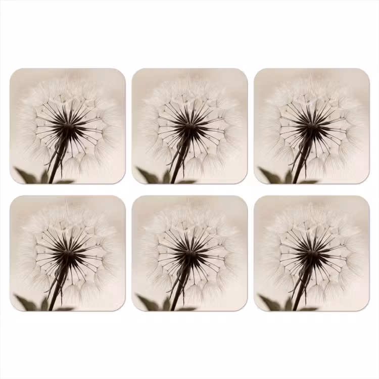 Onderzetter - Paardenbloem - Minimalistisch - Wit — 1
