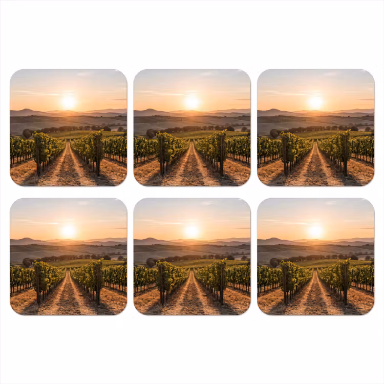 Onderzetter - Wijngaard - Zonsondergang - Landschap — 1
