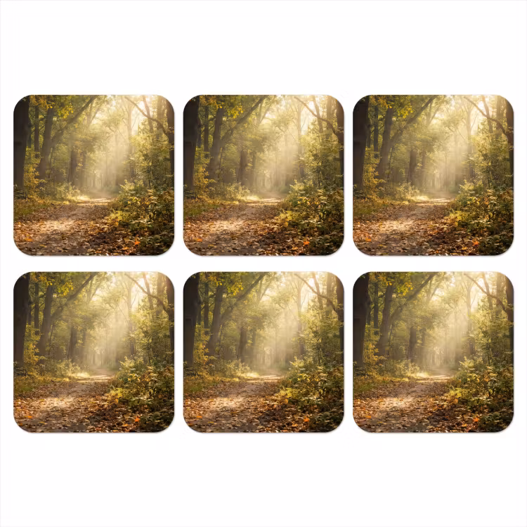Onderzetter - Zonlicht - Bospad - Bomen — 1