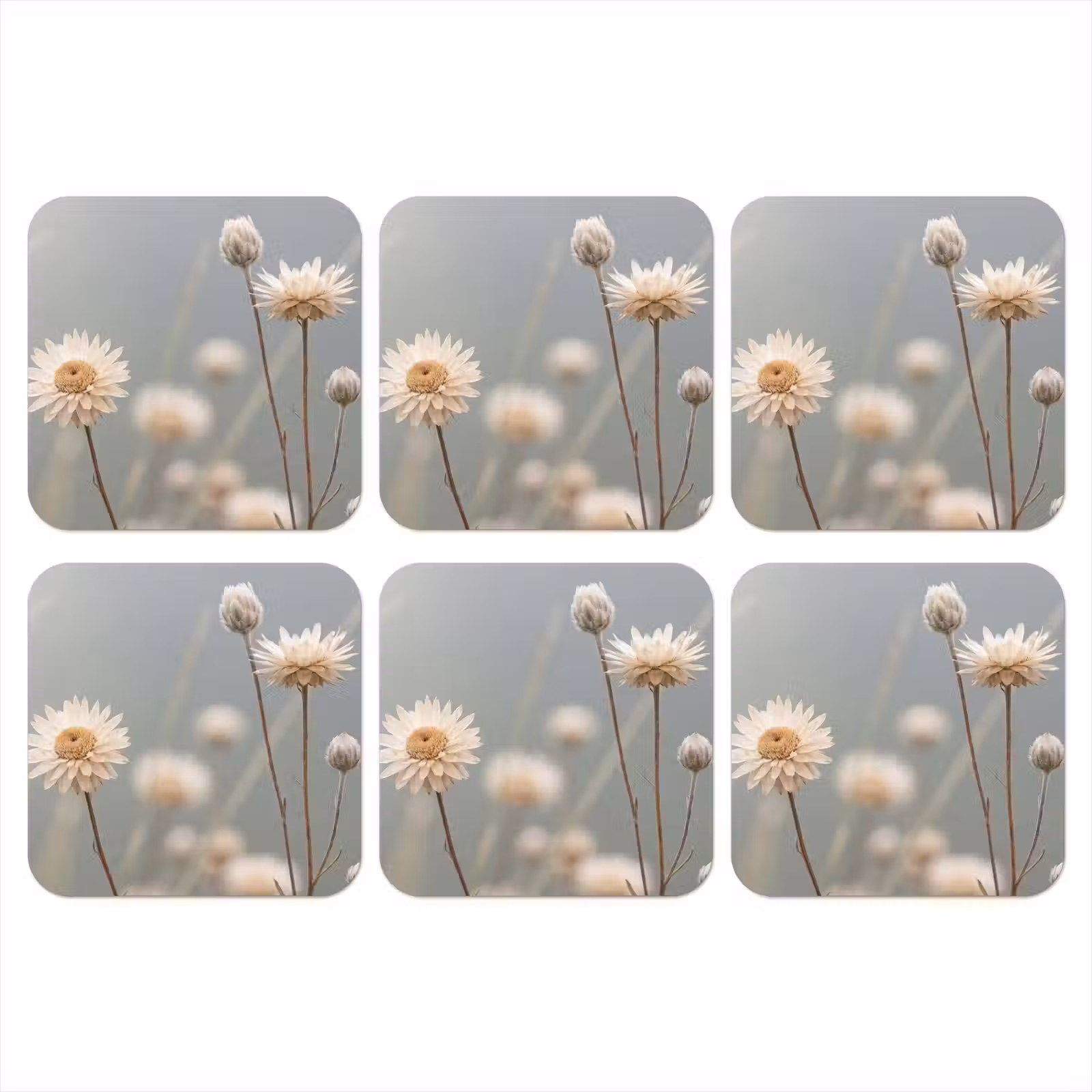 Onderzetter - Strobloemen - Wit - Daglicht — 1
