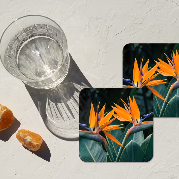 Onderzetter - Paradijsvogel - Bloem - Exotisch — 3