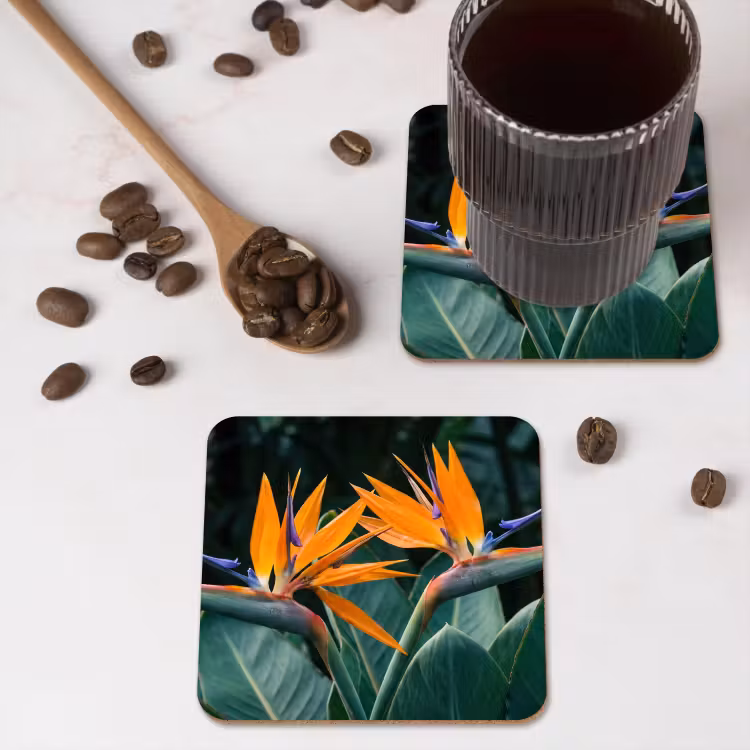 Onderzetter - Paradijsvogel - Bloem - Exotisch — 4