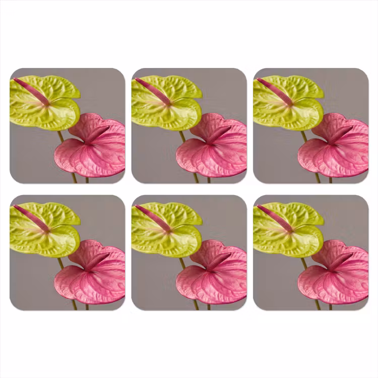 Onderzetter - Planten - Anthurium - Groen - Roze — 1