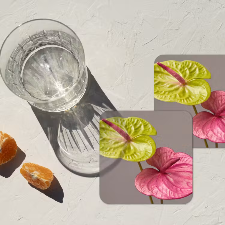 Onderzetter - Planten - Anthurium - Groen - Roze — 3
