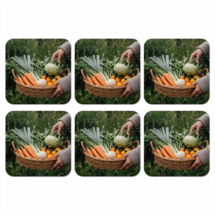 Onderzetter - Veld - Groenten - Biologisch - Oogst — 1