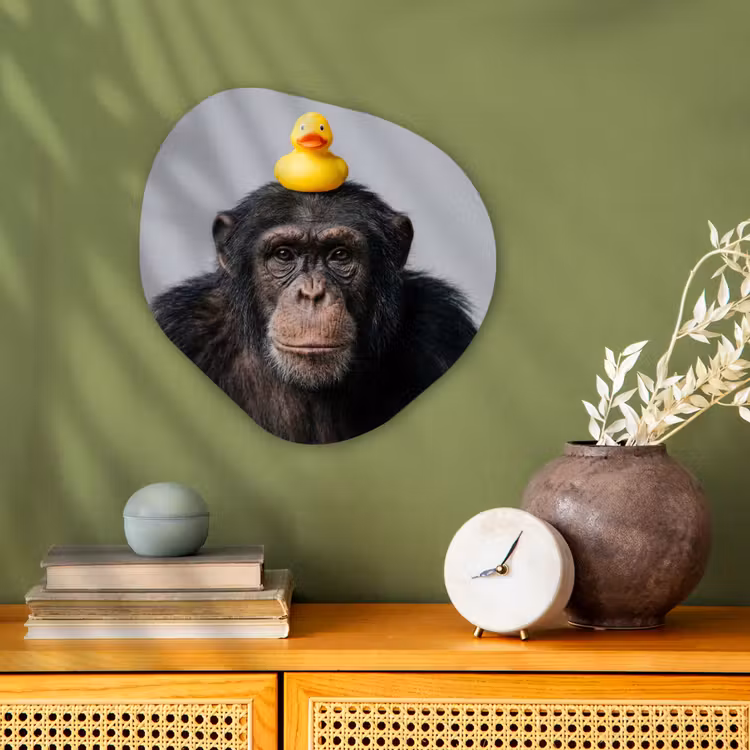 Organisch schilderij - Forex - Chimpansee - Badeend - Grijs — 2