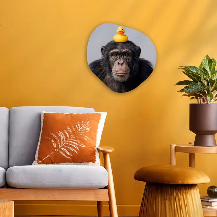 Organisch schilderij - Forex - Chimpansee - Badeend - Grijs — 3