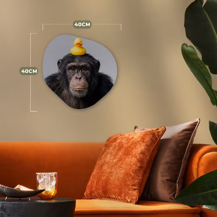 Organisch schilderij - Forex - Chimpansee - Badeend - Grijs — 4