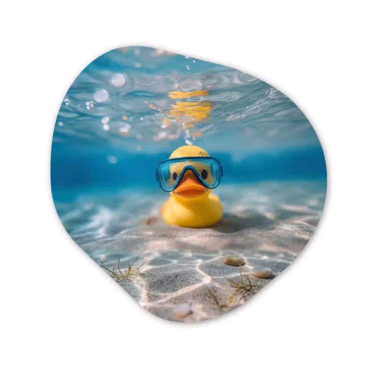 Organisch schilderij - Forex - Duikbril - Eend - Water — 1