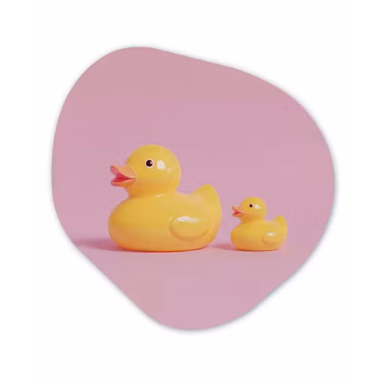 Organisch schilderij - Forex - Eendjes - Vrolijk - Roze — 1