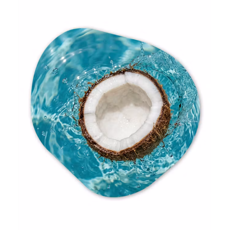 Organisch schilderij - Forex - Kokosnoot - Water - Wit — 1