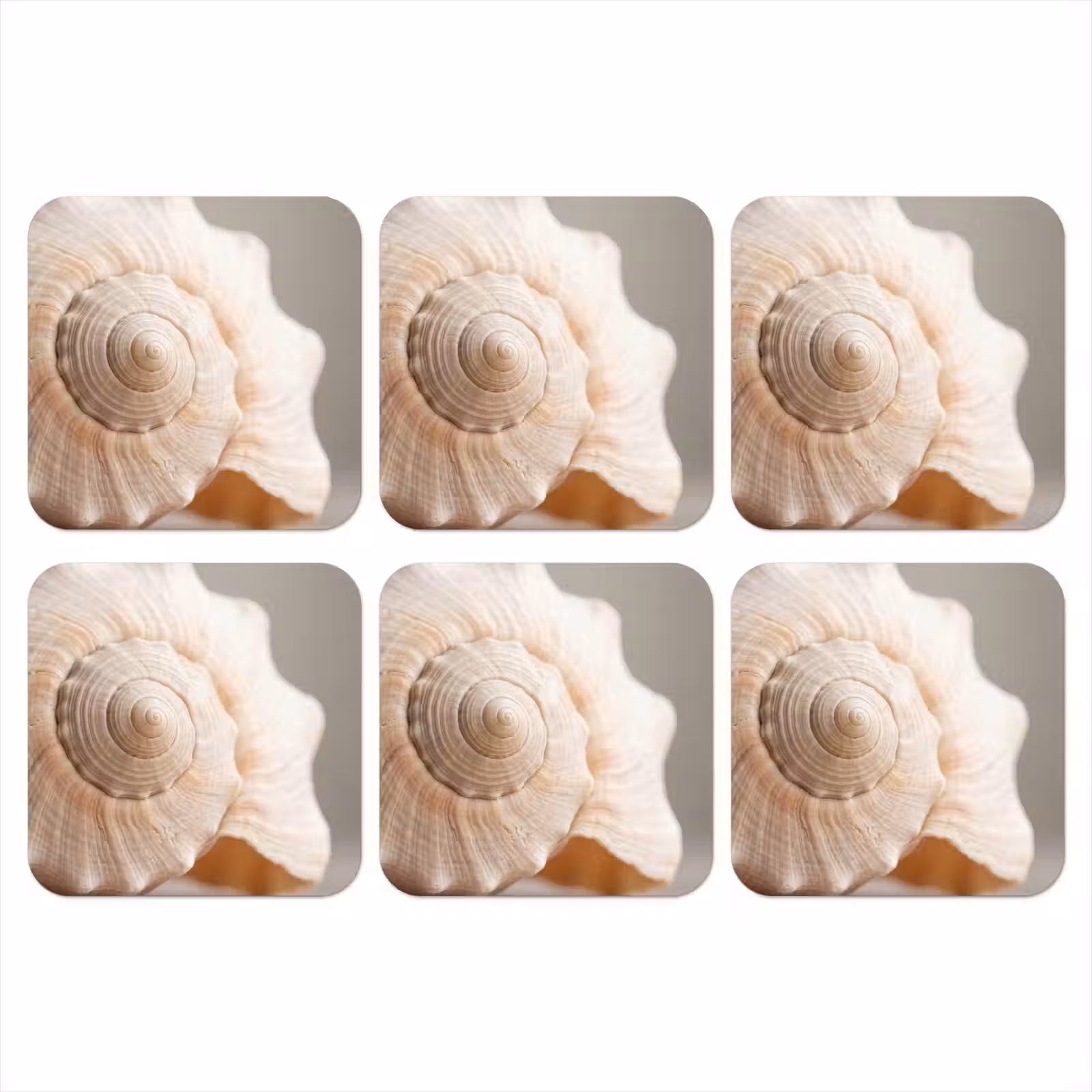 Onderzetter - Schelp - Detail - Beige — 1