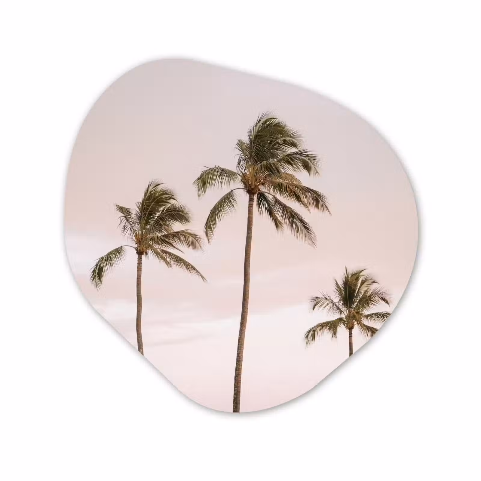 Organisch schilderij - Forex - Palmbomen - Zonsondergang - Roze — 1