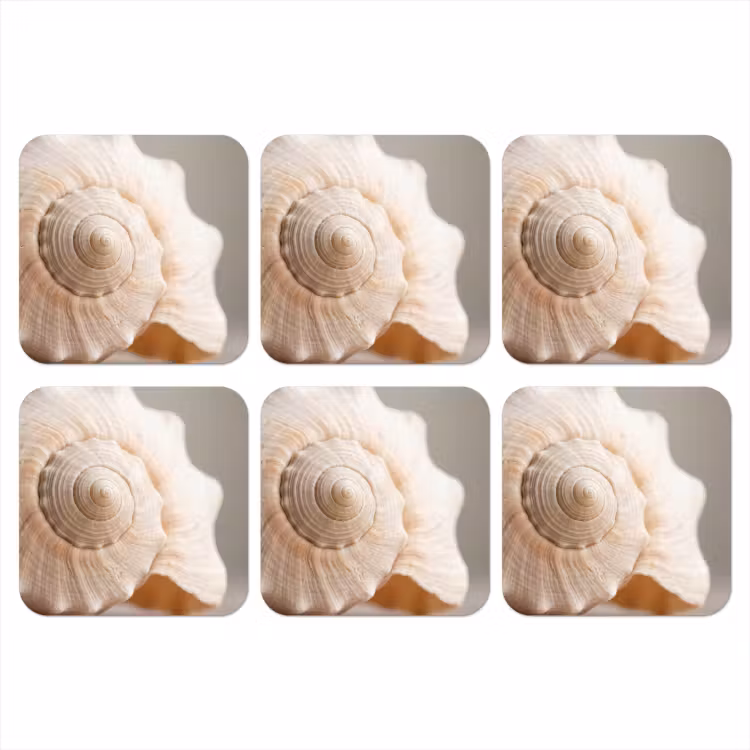 Onderzetter - Schelp - Detail - Beige — 1