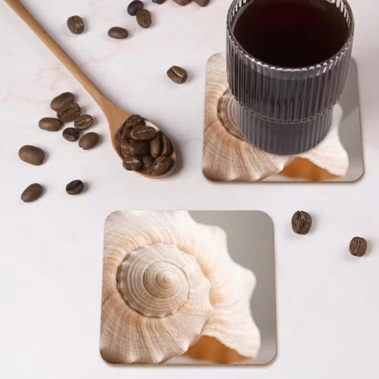 Onderzetter - Schelp - Detail - Beige — 4