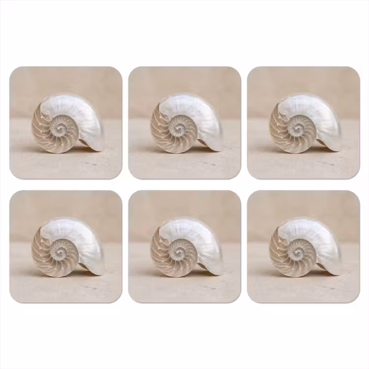 Onderzetter - Schelp - Spiraal - Beige — 1