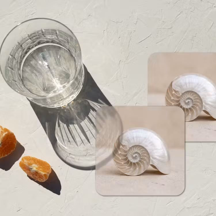 Onderzetter - Schelp - Spiraal - Beige — 3
