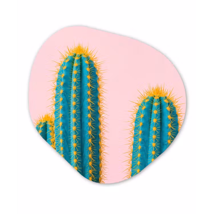 Organisch schilderij - Forex - Cactussen - Modern - Pastel — 1
