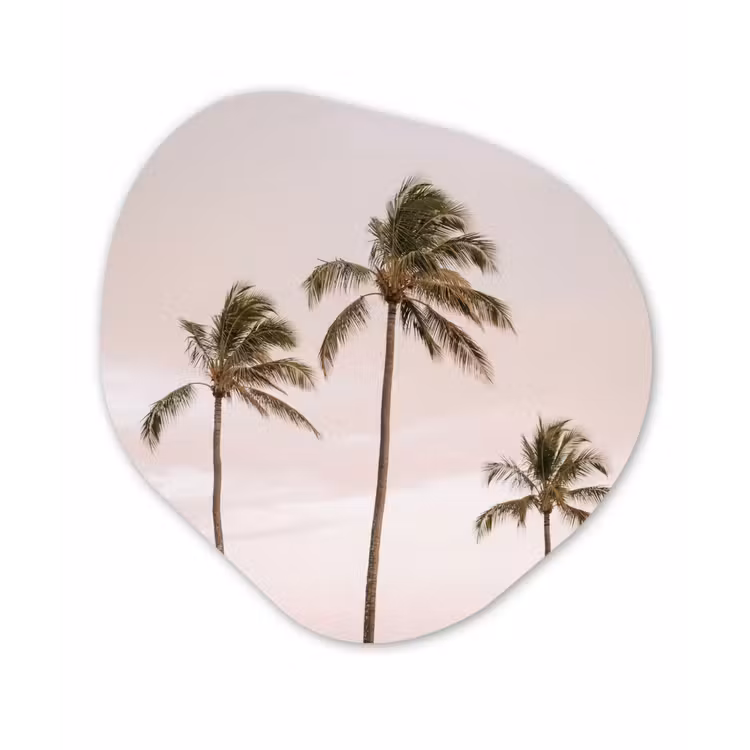 Organisch schilderij - Forex - Palmbomen - Zonsondergang - Roze — 1