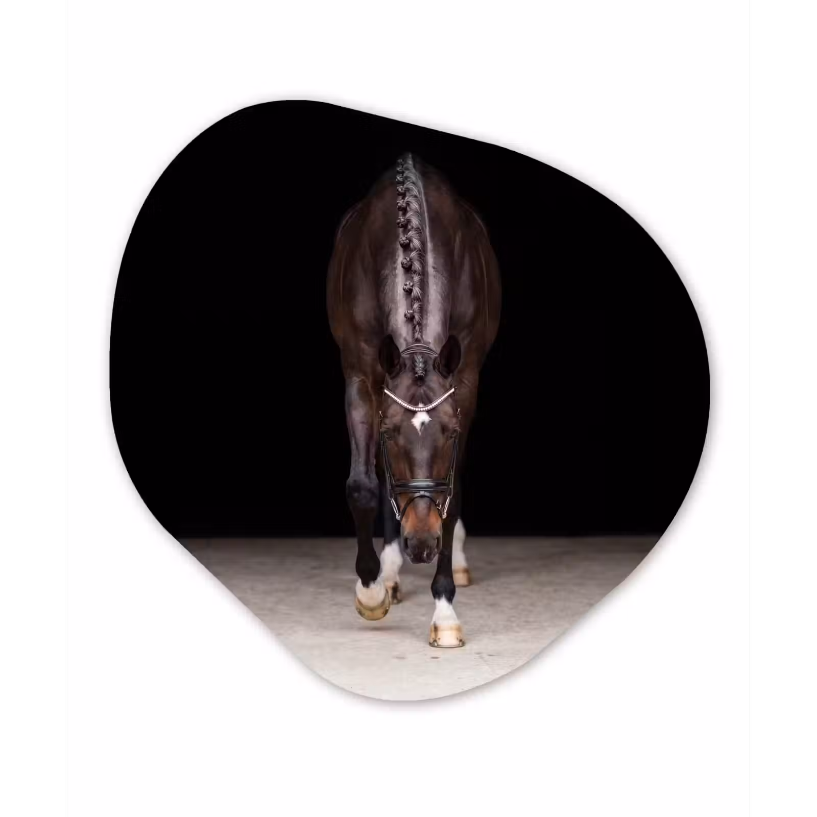Organisch schilderij - Forex - Paard - Modern - Portret — 1