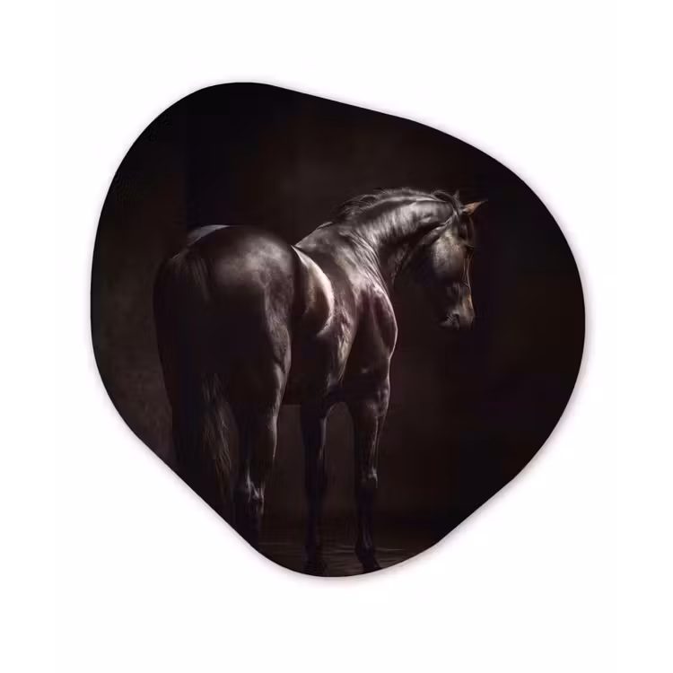 Organisch schilderij - Forex - Krachtig - Paard - Donker — 1