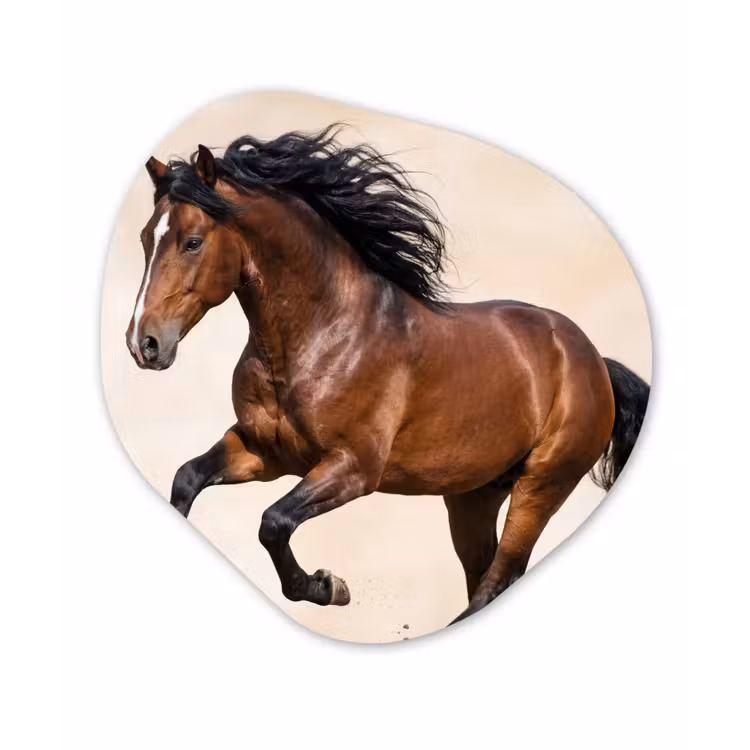 Organisch schilderij - Forex - Paard - Galop - Energie — 1