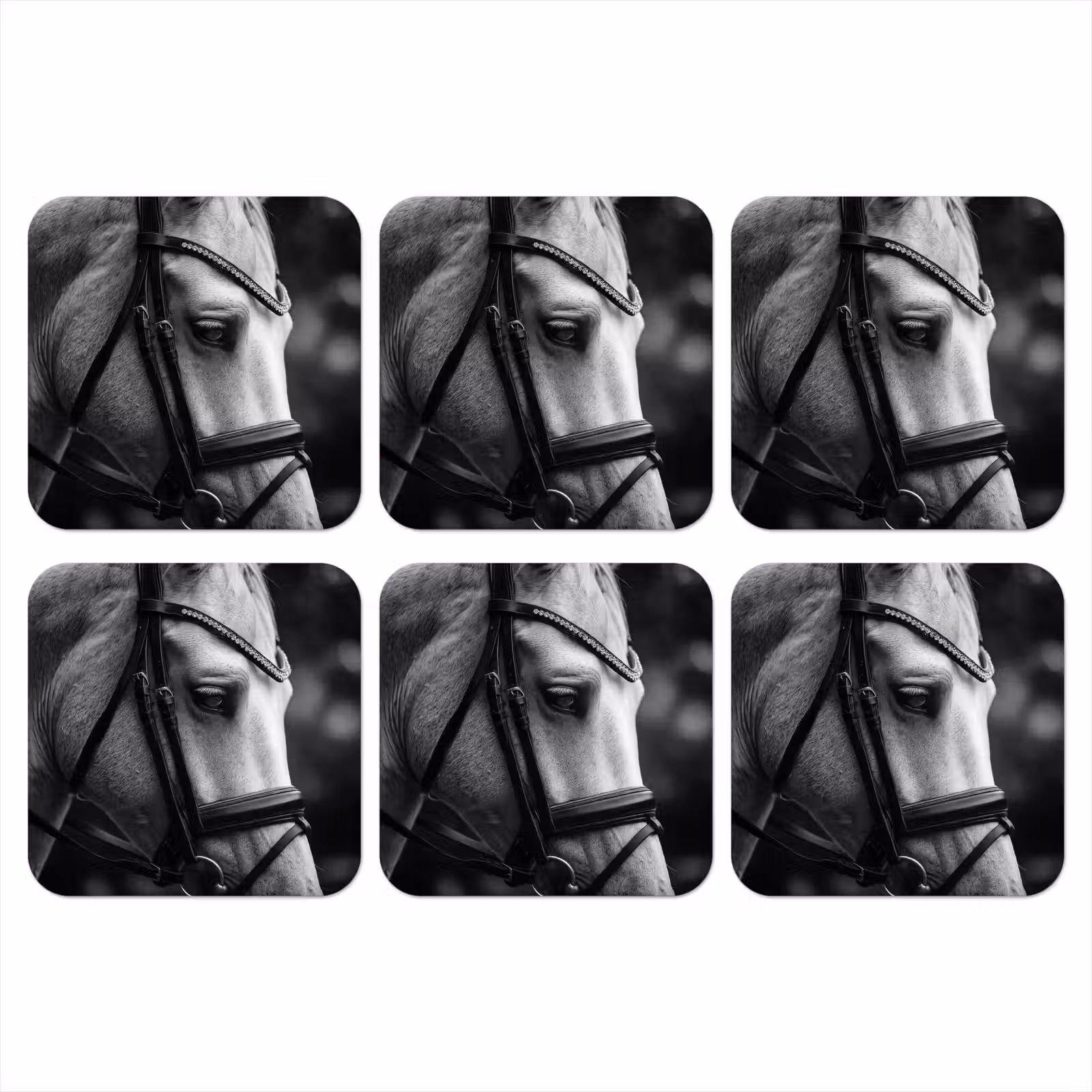 Onderzetter - Paard - Schimmel - Portret — 1