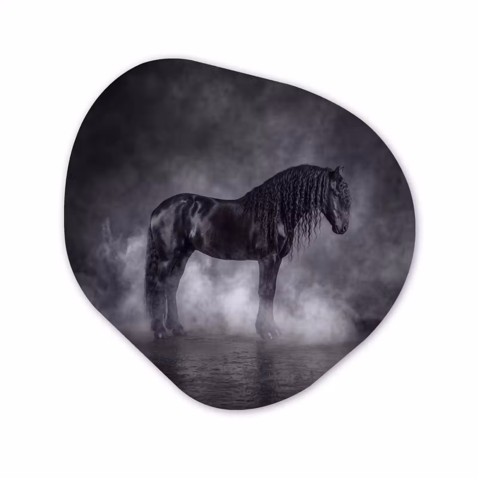 Organisch schilderij - Forex - Paard - Magisch - Zwart — 1