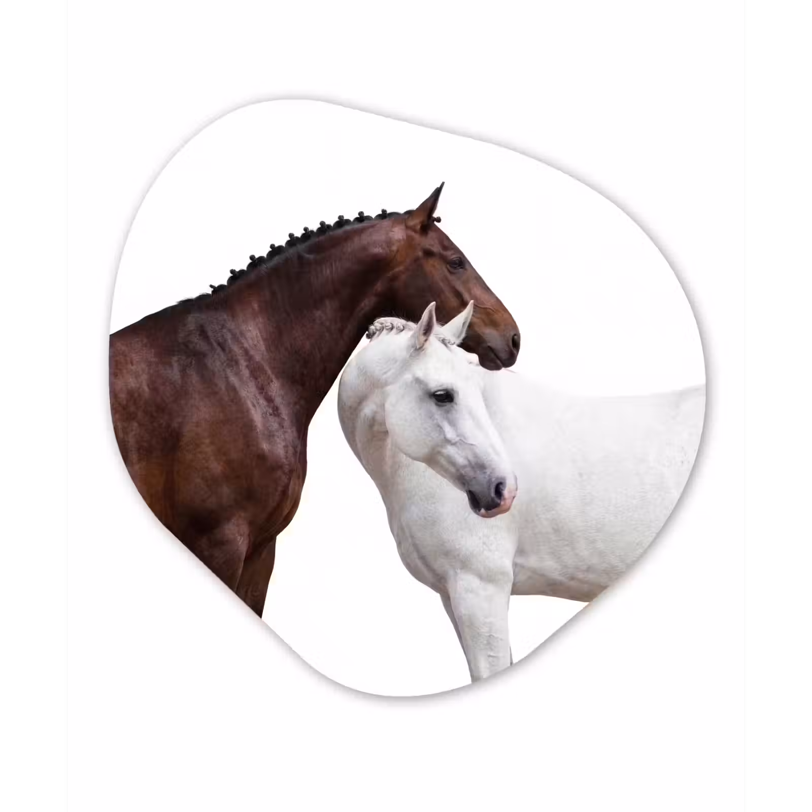 Organisch schilderij - Forex - Paard - Modern - Balans — 1