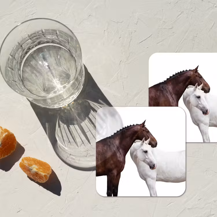 Onderzetter - Paard - Modern - Balans — 3
