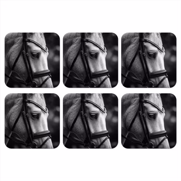 Onderzetter - Paard - Schimmel - Portret — 1