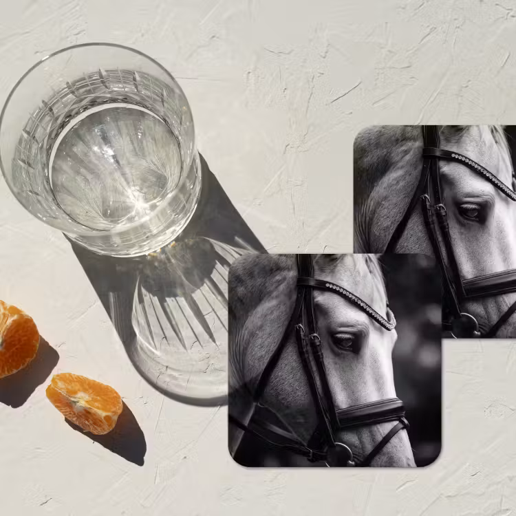 Onderzetter - Paard - Schimmel - Portret — 3