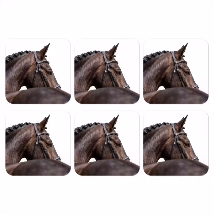Onderzetter​ - Portret - Paard - Elegant — 1