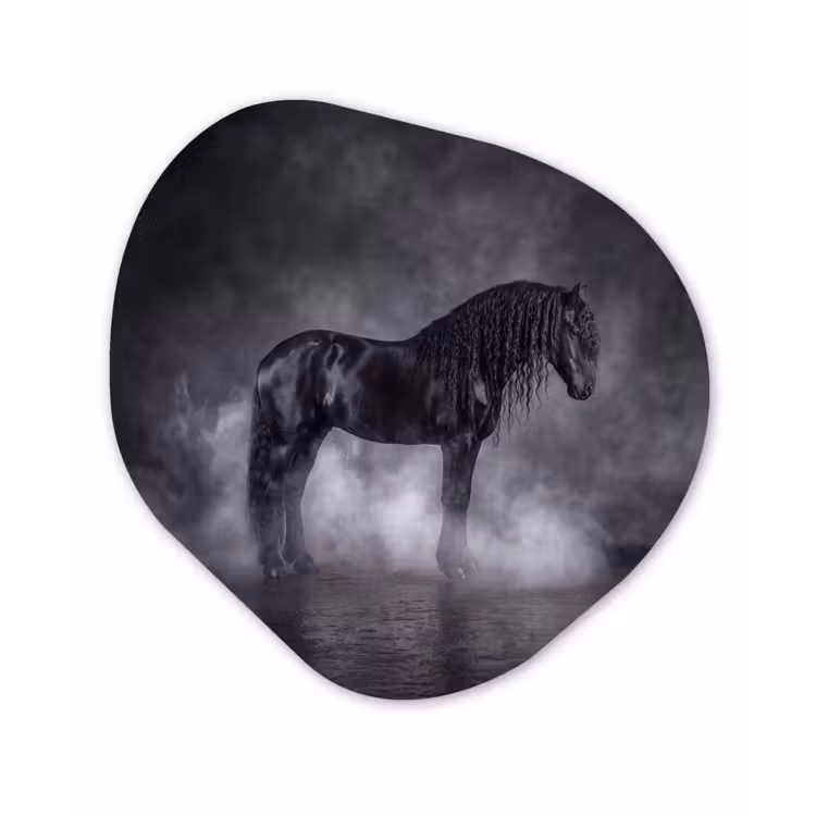 Organisch schilderij - Forex - Paard - Magisch - Zwart — 1