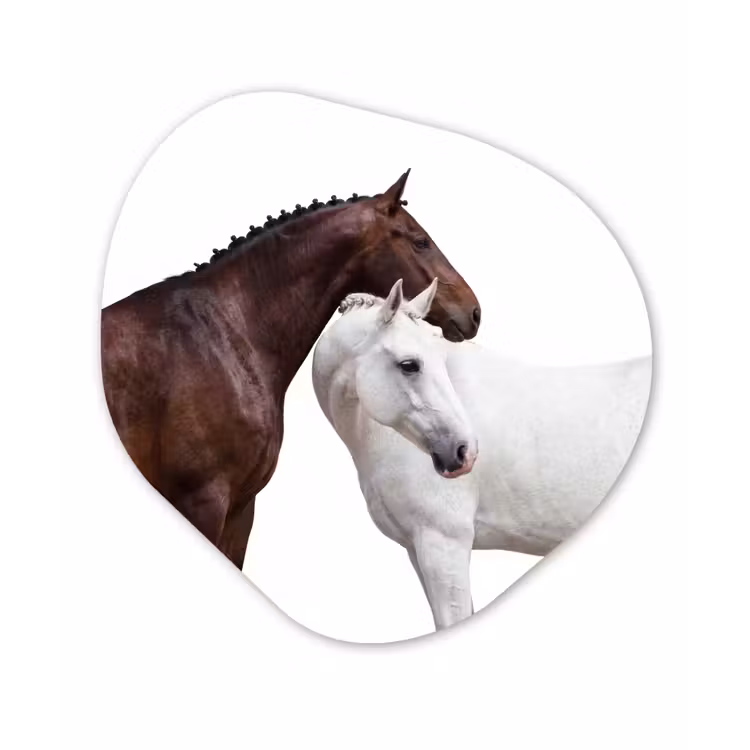 Organisch schilderij - Forex - Paard - Modern - Balans — 1
