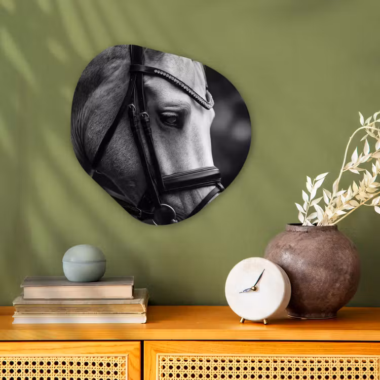 Organisch schilderij - Forex - Paard - Schimmel - Portret — 2
