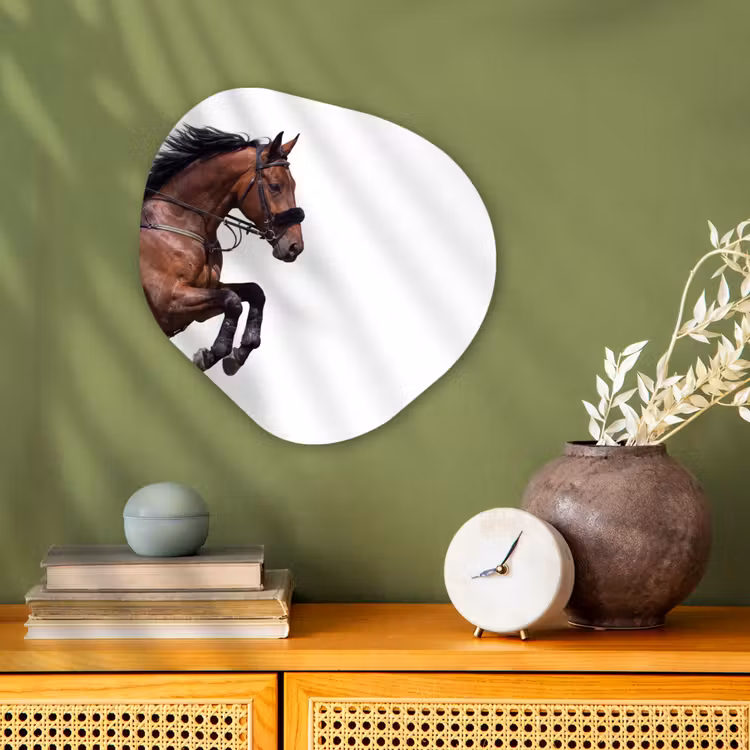 Organisch schilderij - Forex - Paard - Springen - Modern — 2