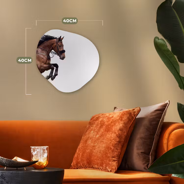 Organisch schilderij - Forex - Paard - Springen - Modern — 4