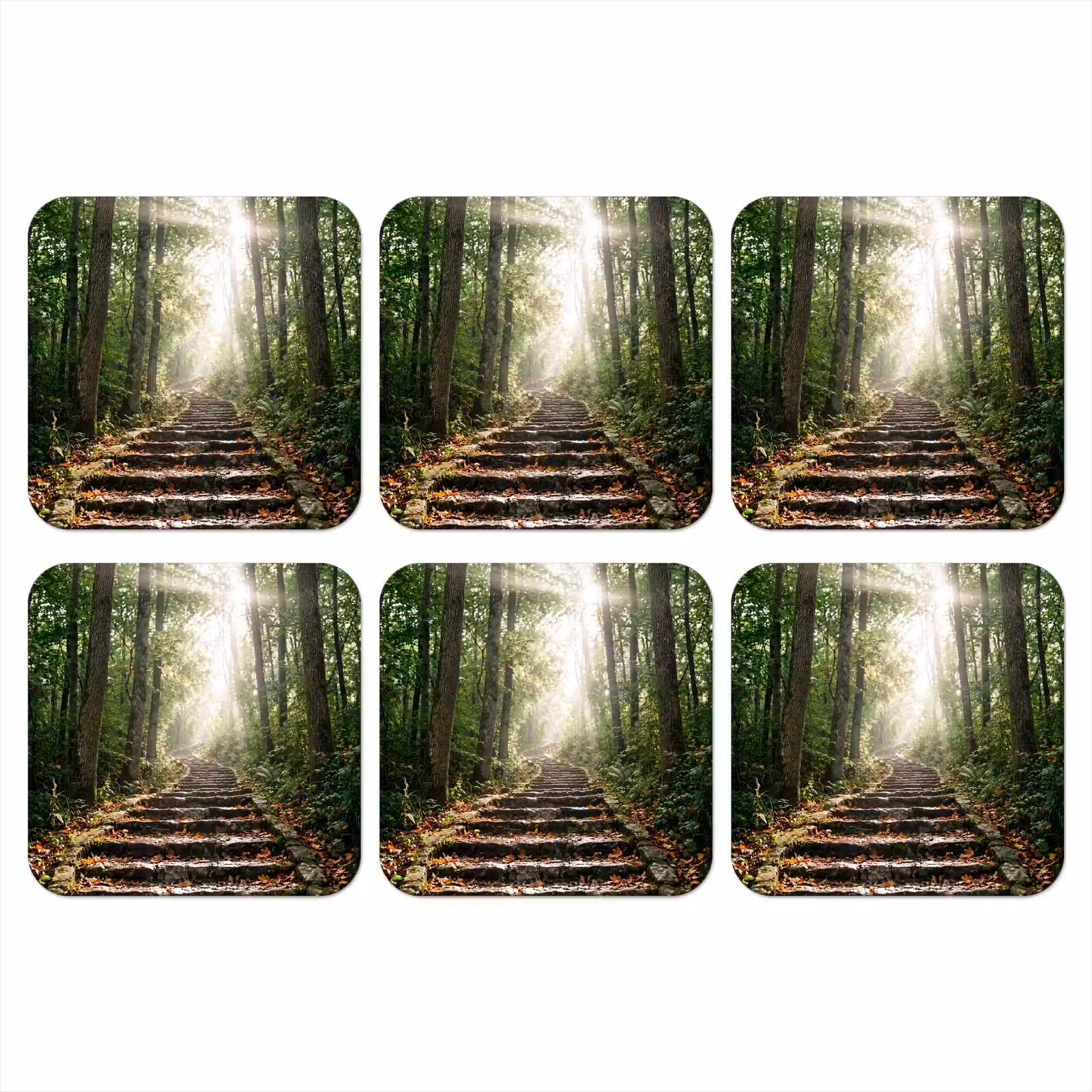 Onderzetter - Stenen - Trap - Bos - Natuur — 1