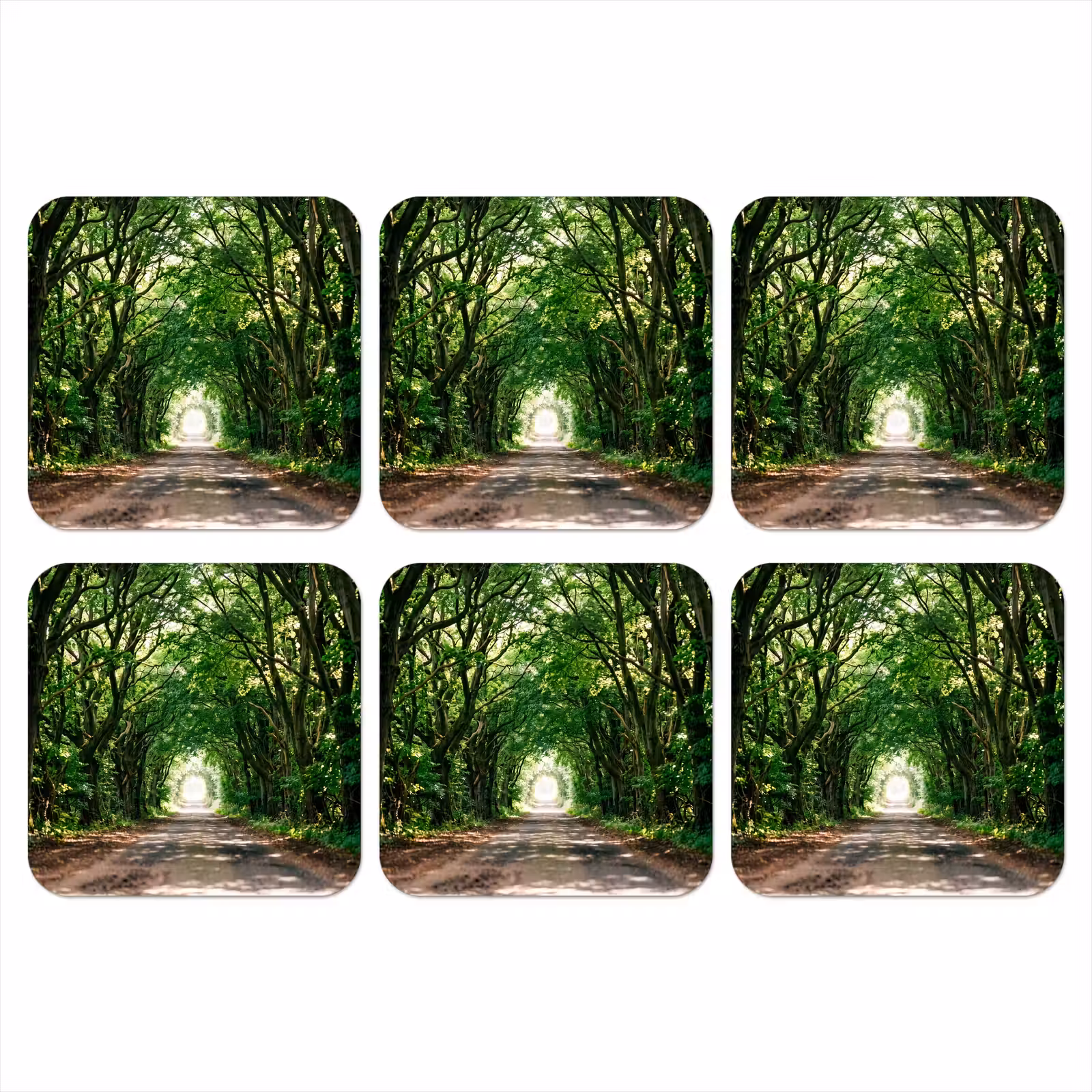 Onderzetter - Weg - Bomen - Natuur - Groen — 1