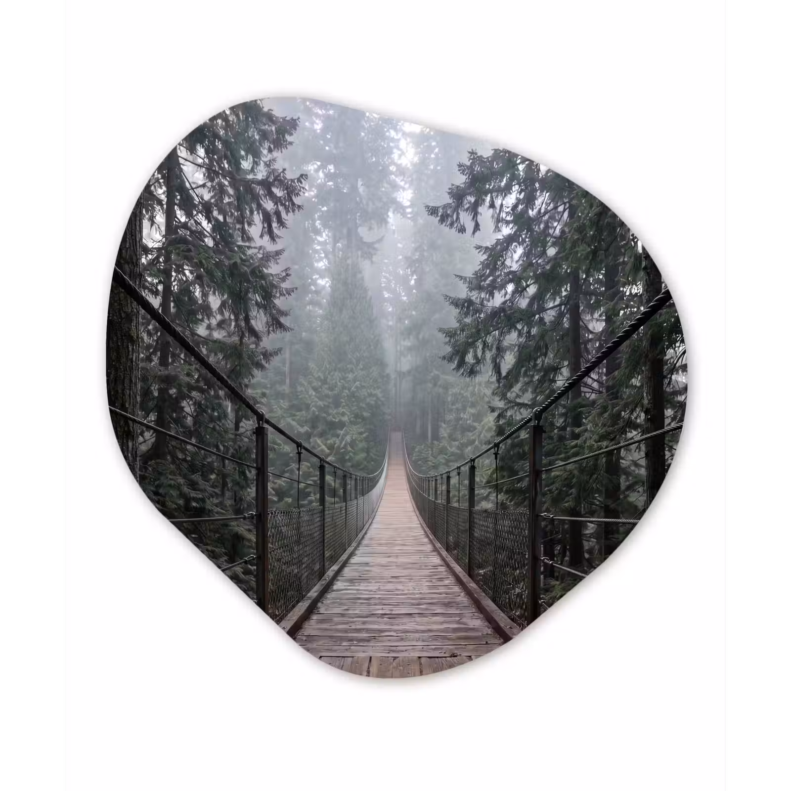 Organisch schilderij - Forex - Brug - Bos - Mist - Natuur — 1