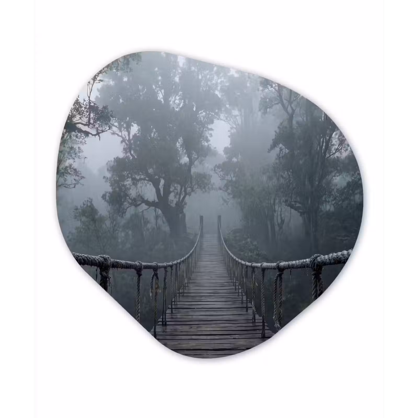 Organisch schilderij - Forex - Brug - Jungle - Mist - Natuur — 1