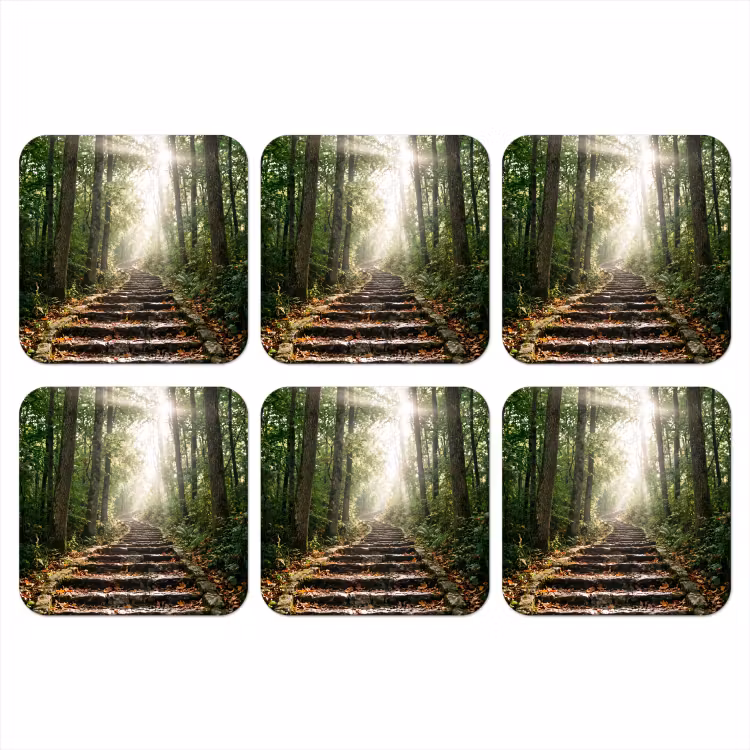 Onderzetter - Stenen - Trap - Bos - Natuur — 1