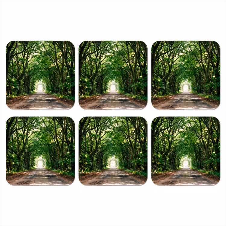 Onderzetter - Weg - Bomen - Natuur - Groen — 1