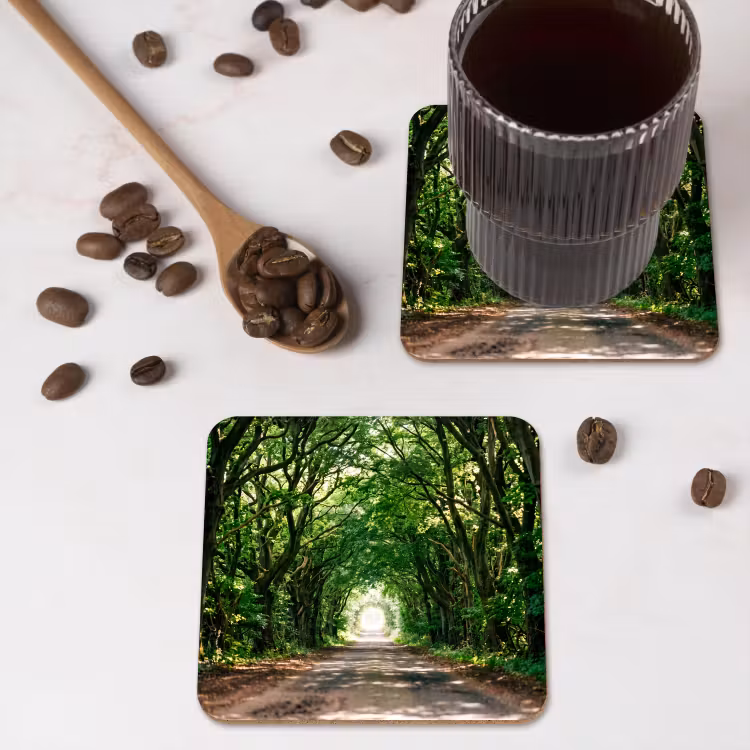 Onderzetter - Weg - Bomen - Natuur - Groen — 4